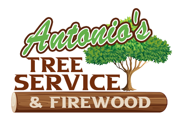 Antonios-Tree-Services-NJ