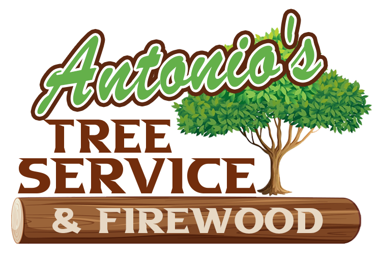 Antonios-Tree-Services-NJ