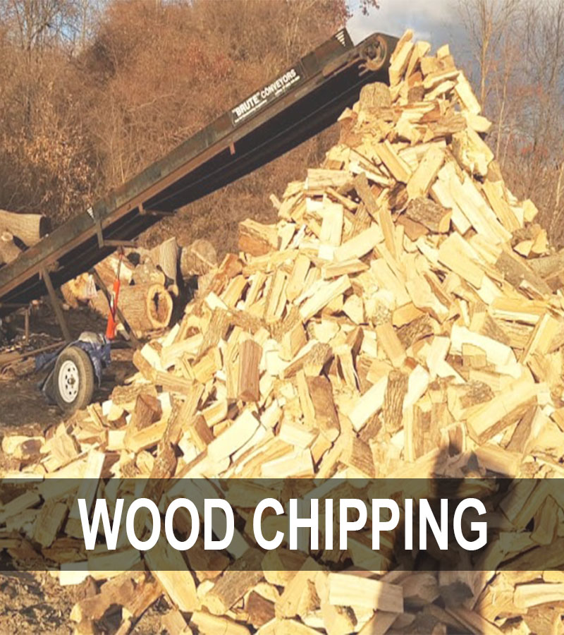 Wood-chipping-in-Newton-Sussex-County